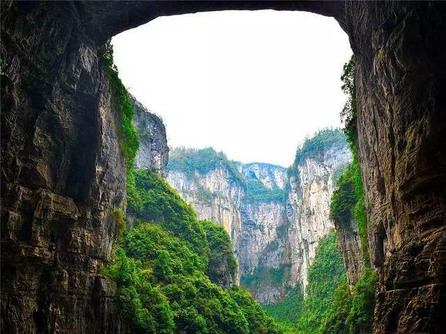 早萎阳泄能自己恢复吗